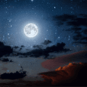moonlightbro